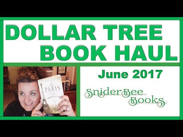 Book Haul from Dollar Tree! | SniderBeeBooks