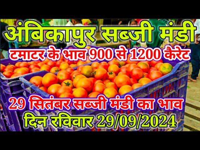 29सितंबर 2024 अंबिकापुर सब्जी मंडी| Ambikapur sabji mandi #surajpur#bajar#sabji#ambikapur#food #vlog