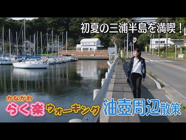 【らく楽ウォーキング】油壷周辺（三浦市）