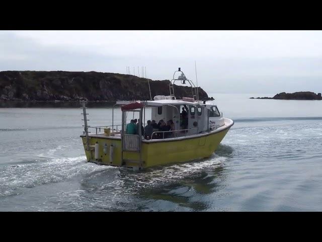 Three boats from the Islay Sea Adventures fleet depart Port Ellen, island of Islay Scotland 31.7.24