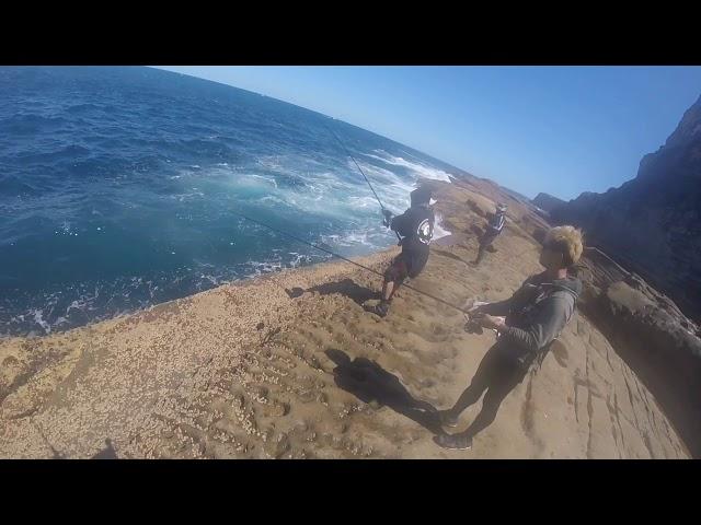 Sydney Manly Bluefish Point Rock Fishing A-Shoregun