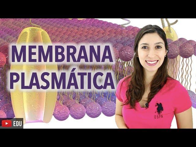 Citologia 2/2: Membrana Plasmática | Anatomia e etc