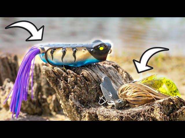 Fish THESE Lures For Summer BANK FISHING!