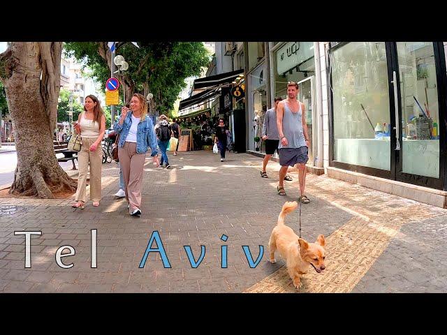 Israel City View Through Tel Aviv Dizengoff Street - 4K Walking Tour with City Sounds