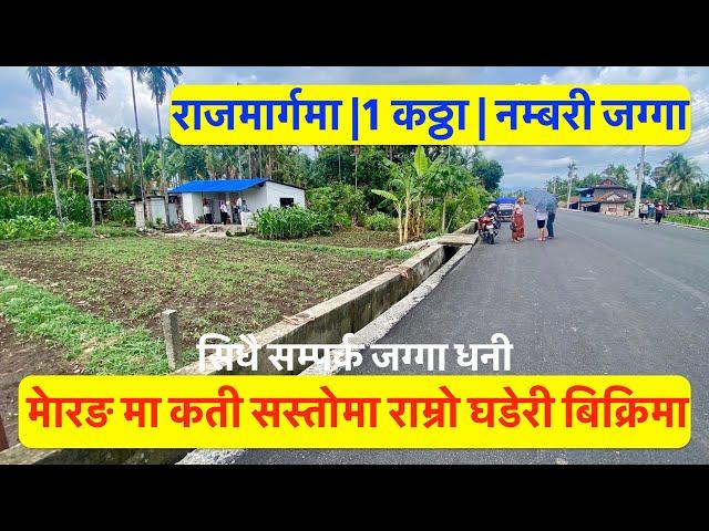 Morang| Highway Touched| Commercial| Cheap Land for Sale at Letang सिधै सम्पर्क जग्गा धनी #lễtang