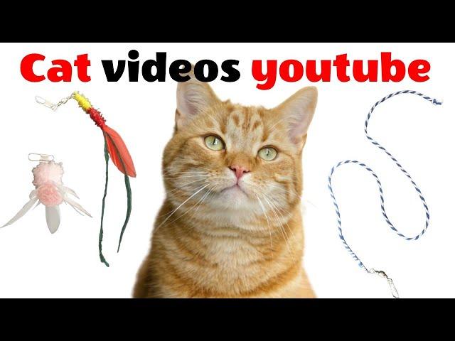 A video that changes every three minutes. your cat on your cat games YouTube TV or smartphone.