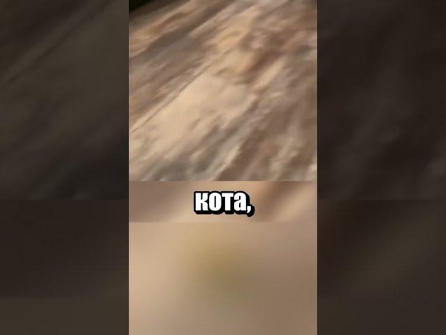 Мам, кого ты нам еще принесла?