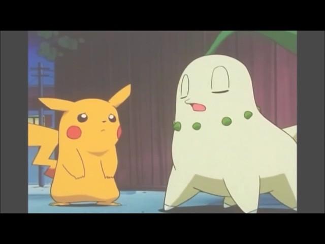 [Pokemon AMV] Ash's Chikorita - Secret Combination