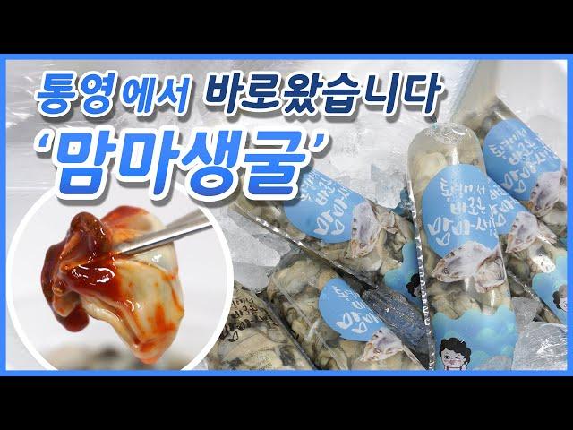 통영에서 바로 왔습니다! 최상급 산지직송 맘마생굴