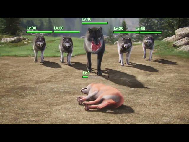 WOLF GAME | So miserable! Puppies are always abandoned, will they survive  #wolfgame #shorts