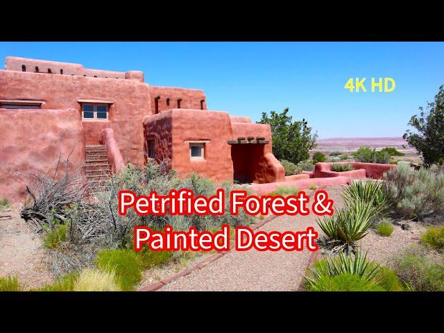 Petrified Forest - Painted Desert