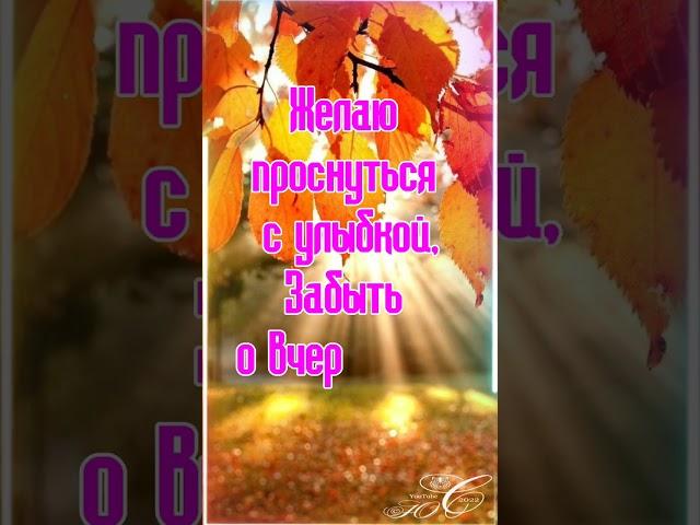 Доброе утро, понедельник!