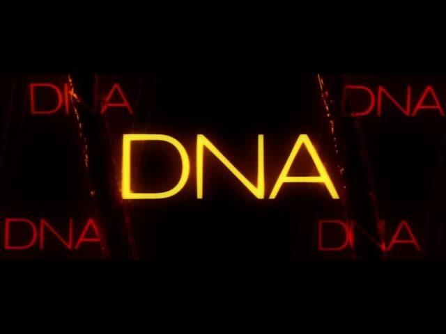 DNA Films INTRO FULL HD