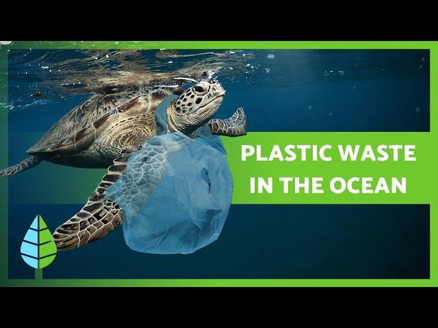 Plastic Waste & OCEAN POLLUTION ️ Causes, Consequences and Solutions!