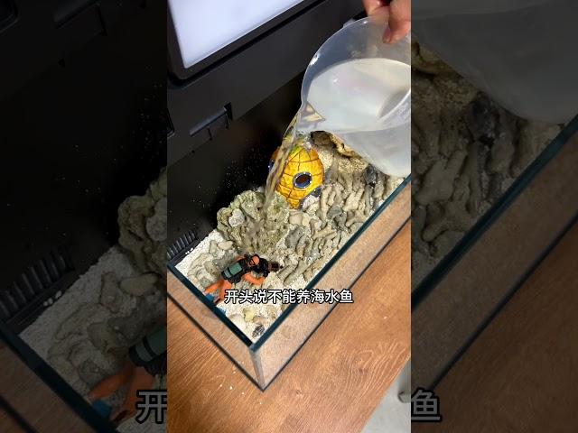 用小米鱼缸养海水鱼，现在人工小丑鱼有很多变异品种，相比饲养淡水鱼，只需准备海盐就行了~