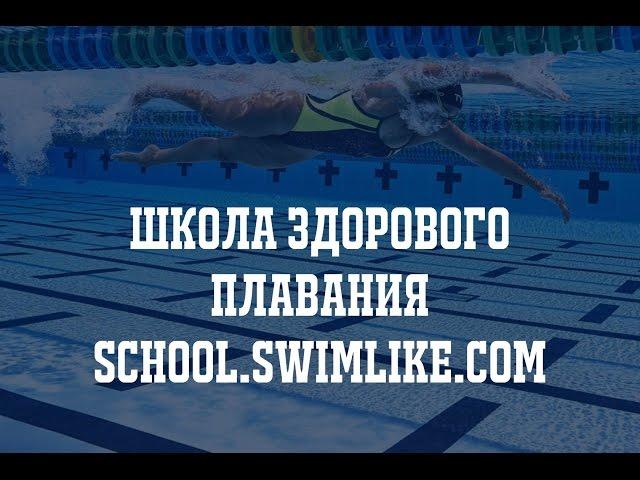 Школа здорового плавания Swimlike в Москве и Санкт-Петербурге!