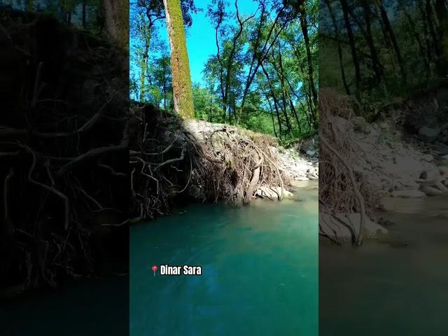 #iran #nature #shorts #viralvideo #trending #naturelovers #forest #jungle #mazandaran