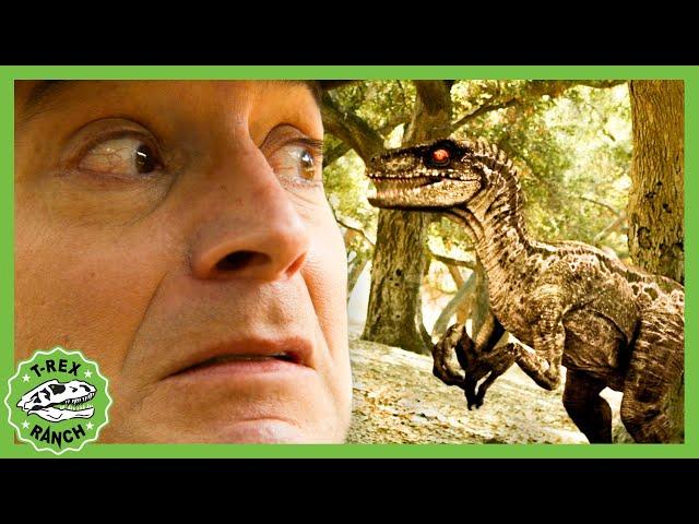 Scary Raptor Attack |  T-Rex Ranch Dinosaur Videos