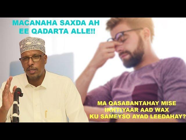 Jawaabtii la wada sugayay ee ku saabsanayd Qadarta Allah┇► Dr Shibli