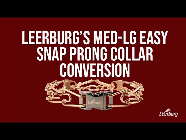 Leerburg's Med-Lg Easy Snap Prong Collar Conversion