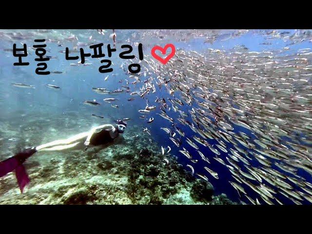 Swim From Panglao Sea Resort to Napaling Reef (Bohol, Philippines)