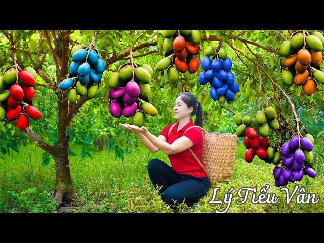 How to harvest Ambarella & Go to the market to sell - Farming and Cooking | Daily Life