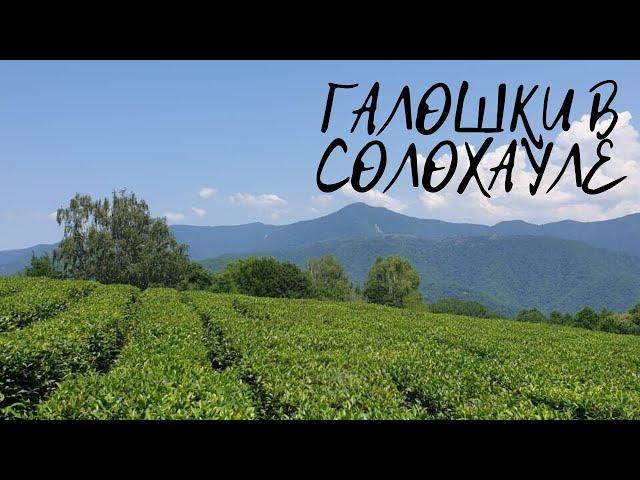 VLOG Солохаул .Платная рыбалка.Пляж пансионата Морская Даль.Головинка