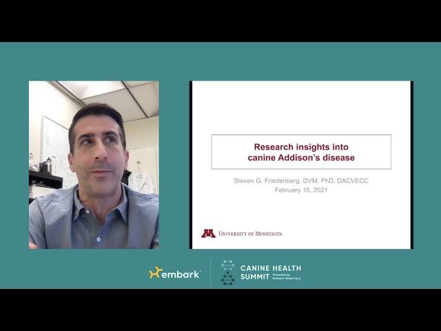Research Progress on Canine Addison’s Disease - Canine Health Summit 2021 - Embark for Breeders