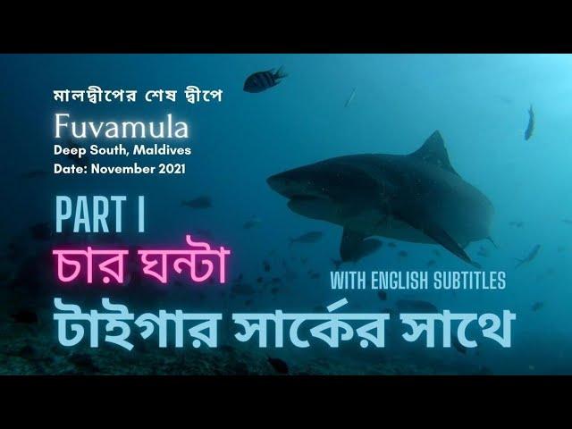 4 hours with Tiger Sharks - Part 1, Scuba diving vlog - মালদ্বীপের শেষ দ্বীপে