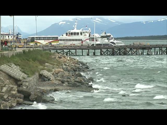 Denuncian grave caso de homofobia en Puerto Natales: Agreden a joven lesbiana