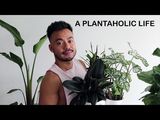 HOUSEPLANT HAUL | THE COST OF PLANT ADDICTION | CRAZY PLANT GUY