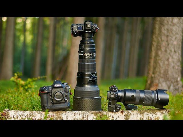 Top 6 Best Nikon Lenses for Wildlife Photography