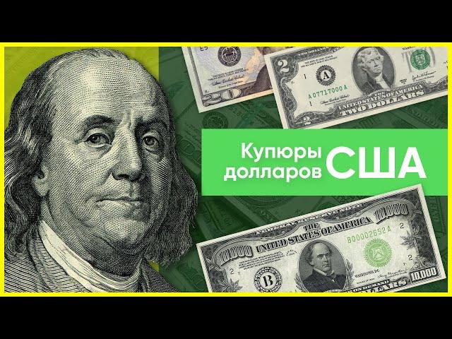 Купюры долларов США: какие номиналы существуют?