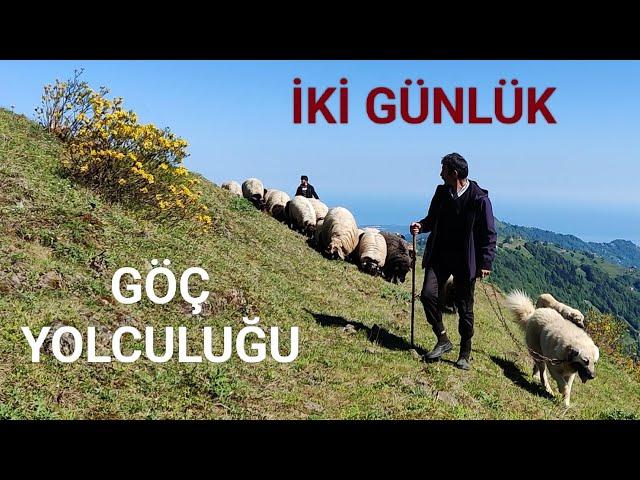 GÖÇ YOLU || TRABZON'DAN GÜMÜŞHANE'YE