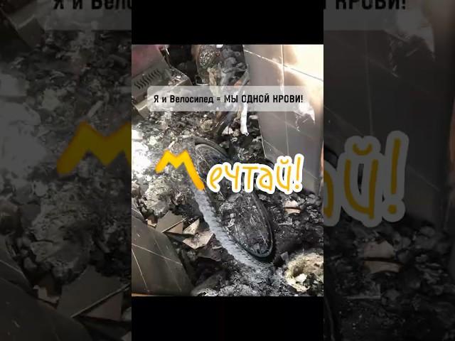 Ты только ЖИВИ! Всё уже есть для Тебя в этом Мире! #мечта #жизнь #чувства #дух #материализациямыслей