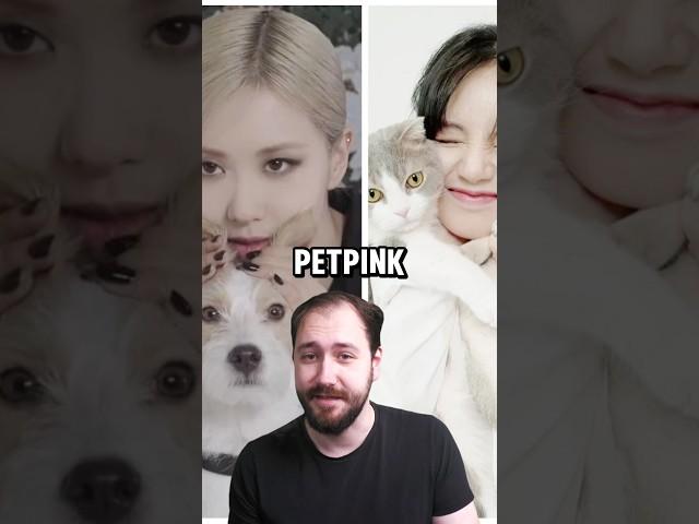 Petpink - Kennst du die Haustiere der Blackpink Member? 🩷