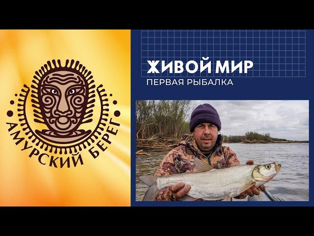 Живой мир. Амурский Берег. Первая рыбалка.