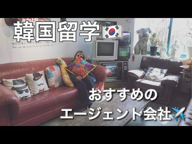 【韓国留学】おすすめのエージェント会社️  ｜ワーホリ｜한국유학 #shorts