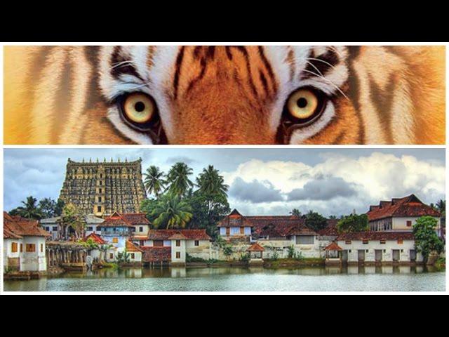 Едем в Тривандрум. Зоопарк. Жизнь Пи. Индийский храм в Тривандруме. Приколы на Startup-даче