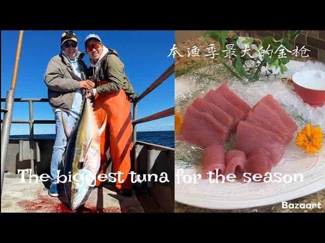 Massive yellowfin tuna catch clean and cook | 黄鳍金枪鱼生鱼片