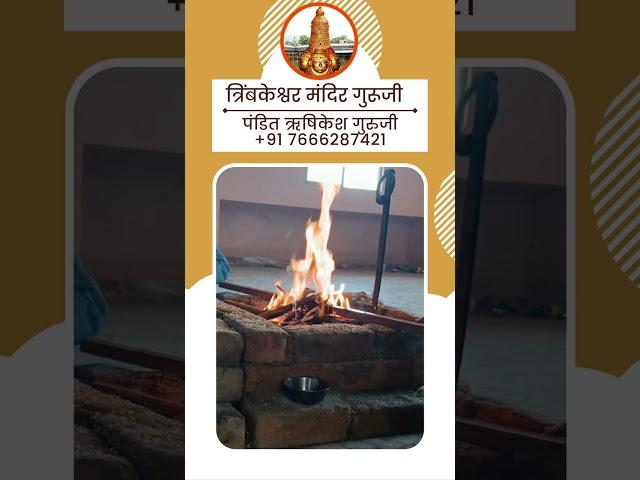 कालसर्प पूजा त्र्यम्बकेश्वर | Kaal Sarp Puja Trimbakeshwar - Pandit Rishikesh Guruji 7666287421