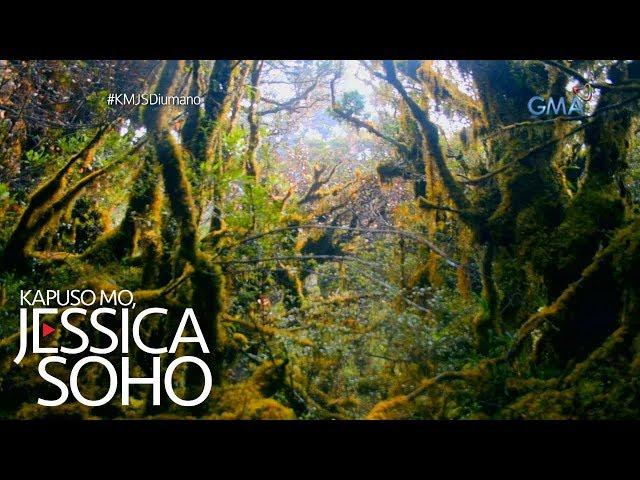 Kapuso Mo, Jessica Soho: Nakamamanghang 'mossy forest' sa Compostela Valley