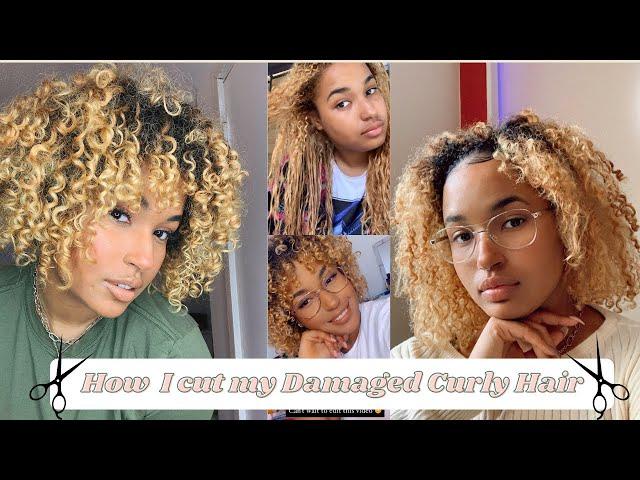 How I cut my Damaged curly hair | Patricia Bento