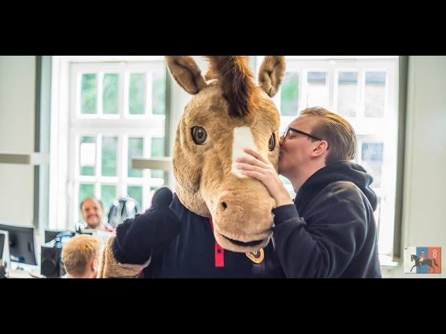 Pferdi zu Besuch bei Energy Bremen