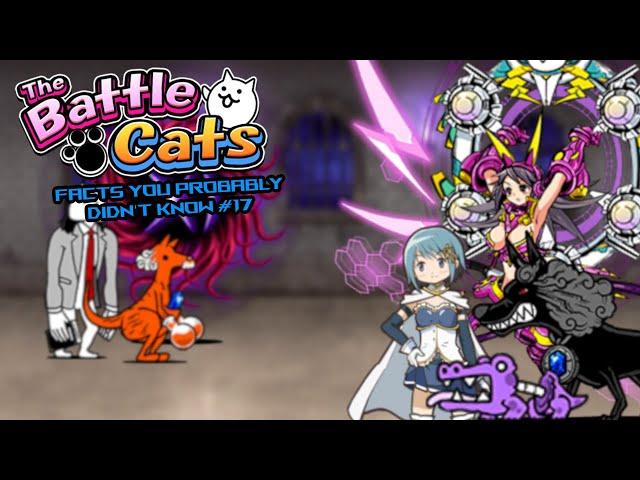 50 Random Battle Cats Facts You Probably DIDN'T Know #17