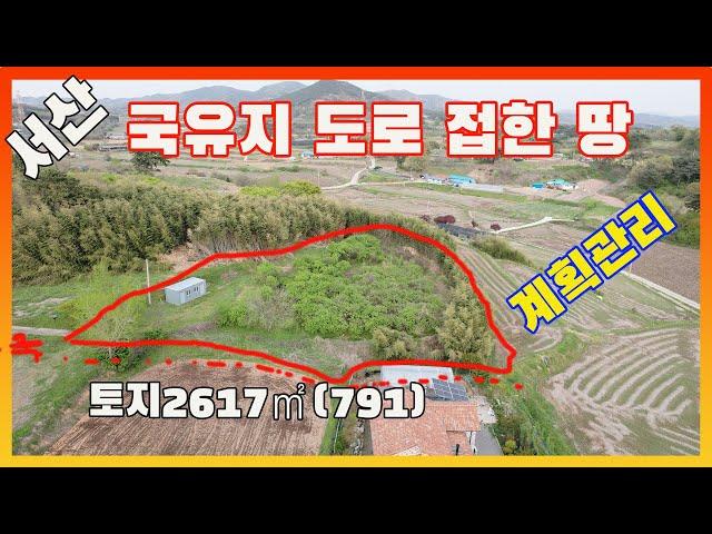 [물건번호2565] 서산시 음암면 오가피농장 매매 합니다, 오가피 700~800그루 있는 대지+전 토지 입니다, 계획관리지역 이고 국유지도로에 접한 괜찮은 집터 입니다,