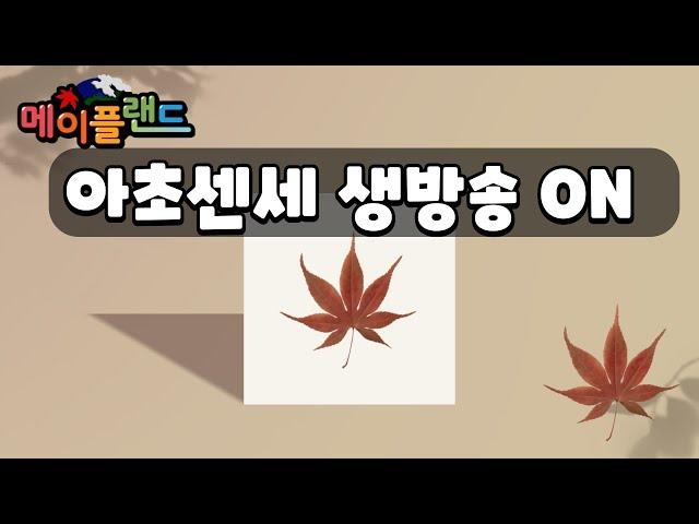 둘째가 생각나는 그런날_바람꽃 #메이플랜드