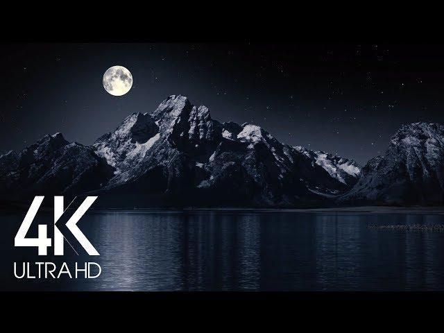 Night Time Nature Sounds at Full Moon 8 Hours - Lake Lapping Water, Crickets Summer Night  in 4K