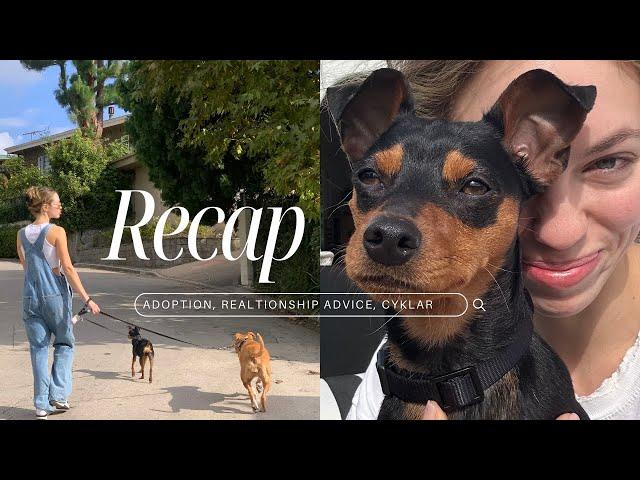 RECAP • our new rescue