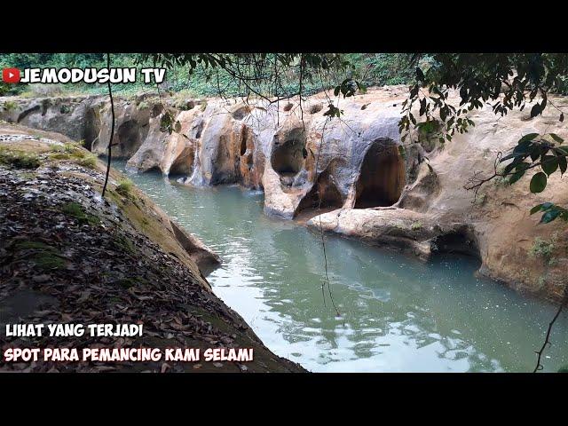 Adventure Petualangan Jelajah Hutan Mencari Ikan | Petualangan Part 12